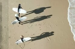 Softdog Alpha Dog 4'5" 15 Softdog Alpha Dog 4'5" -DE Surfausrüstung Verkäufe 2024 588x391 alpha15 softdogsurf surfboard 1260x1260