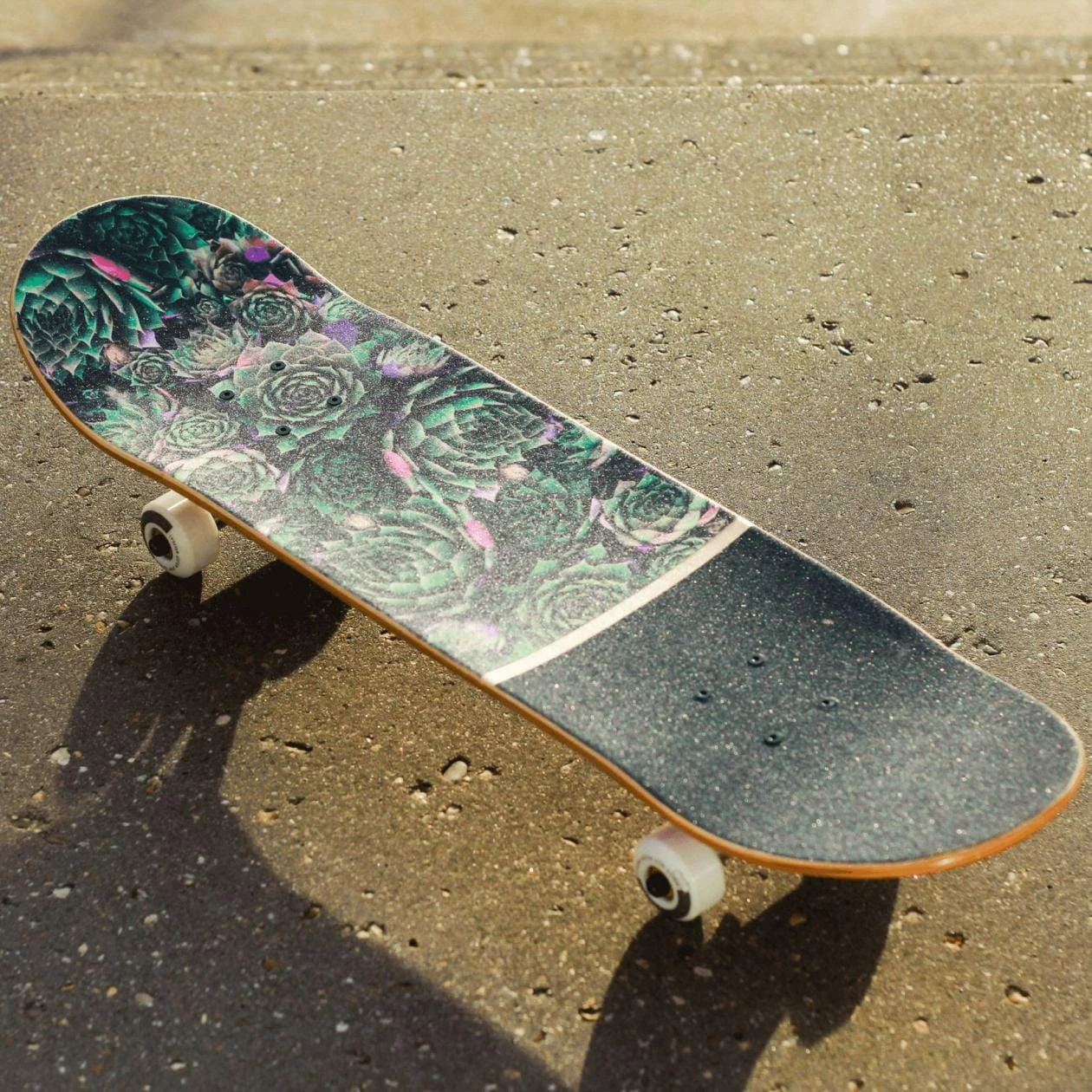 BTFL Plants Skateboard Complete 7 BTFL Plants Skateboard Complete – Bild 5